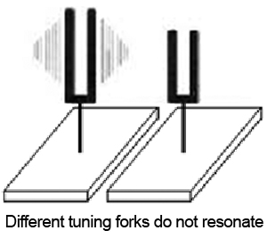 Different tuning forks do not resonate