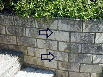 Crack in garden wall