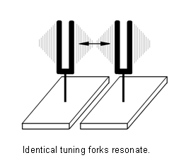 Identical tuning forks resonate