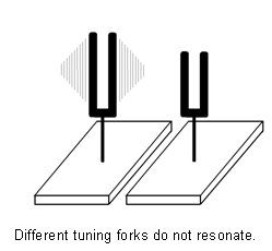 Different tuning forks do not resonate Different tuning forks do not resonate