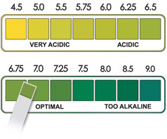 pH Colour Chart