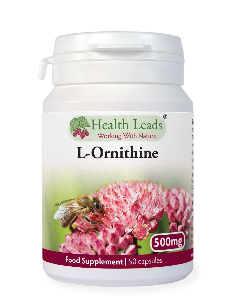 What is L-Ornithine