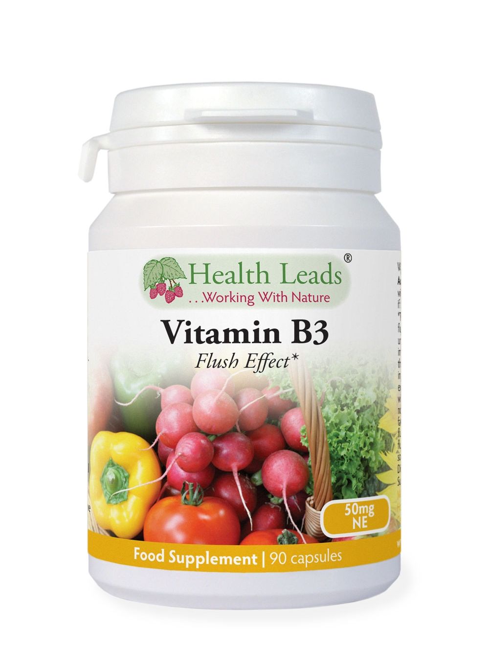 Vitamin B3 and the niacin flush